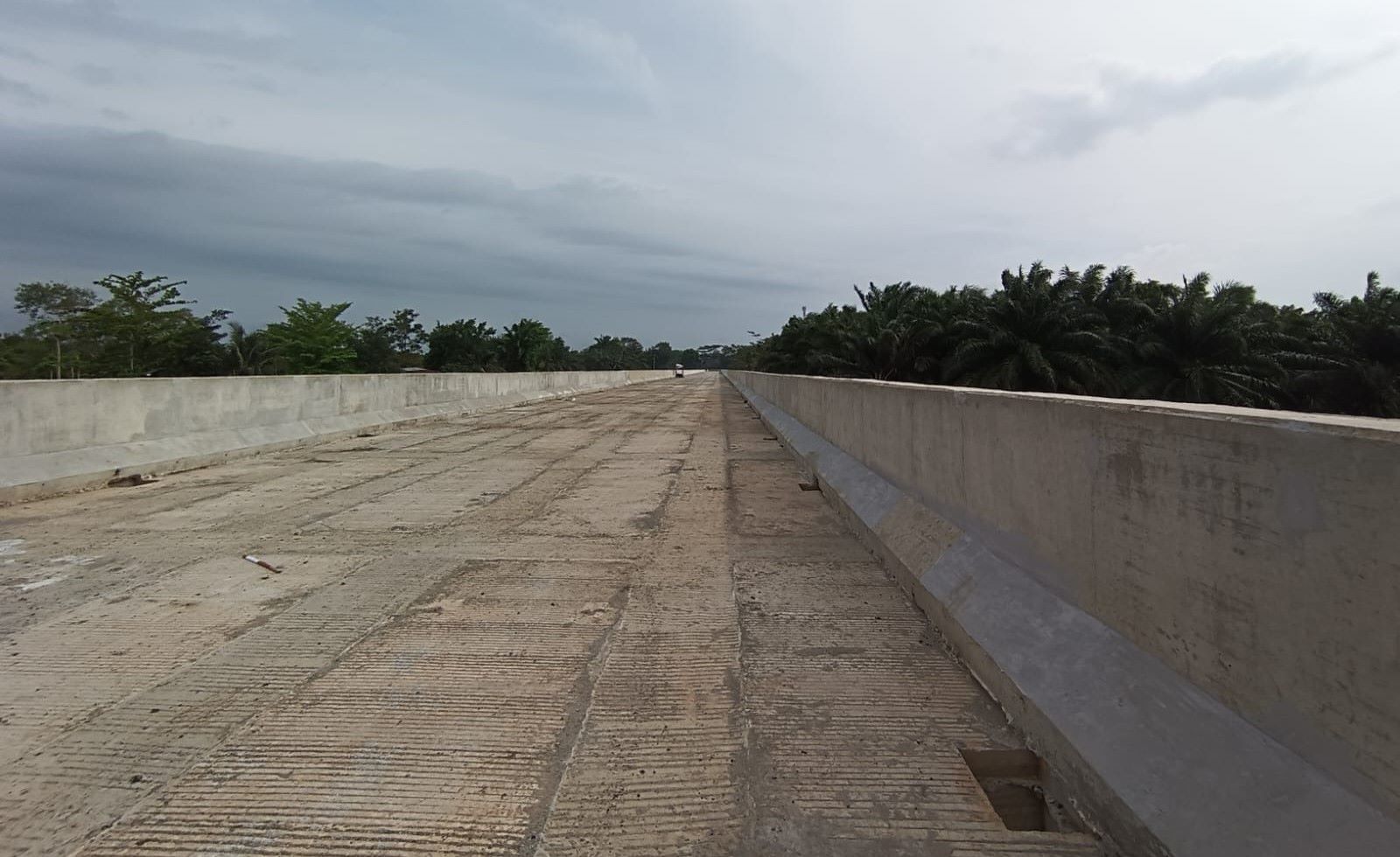 Pembangunan Jembatan Elevated DDTS Capai Progres 85 Persen