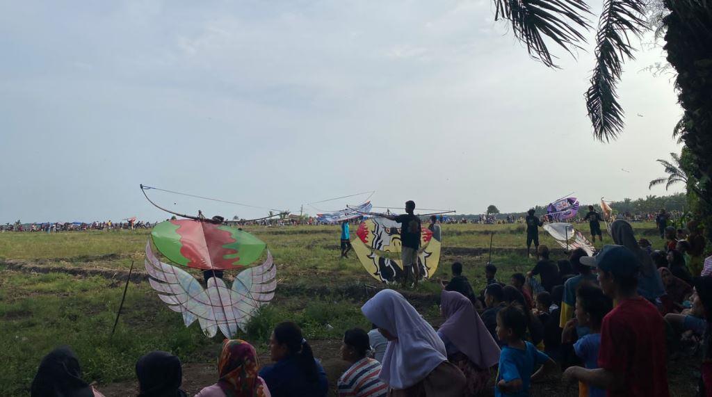 Lahan Sawah Kekeringan Jadi Arena Festival Layang-layang di Seluma