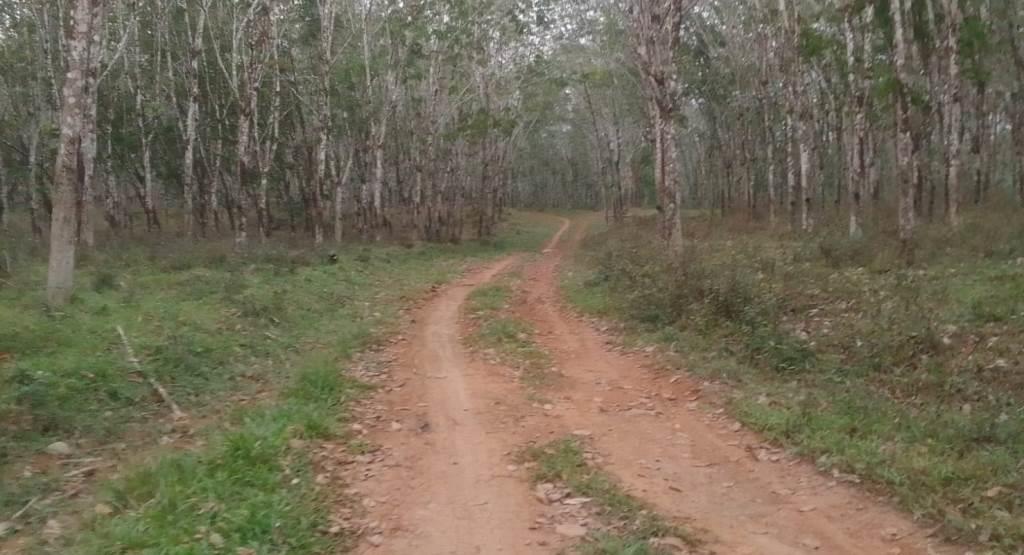 Jalan Masih Tanah Jadi Alasan Guru SDN 157 dan SMPN 43 Seluma Malas Mengajar