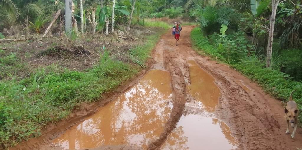 Jalan Rusak Picu Naiknya Harga Kebutuhan Pokok di Desa Talang Beringin Seluma