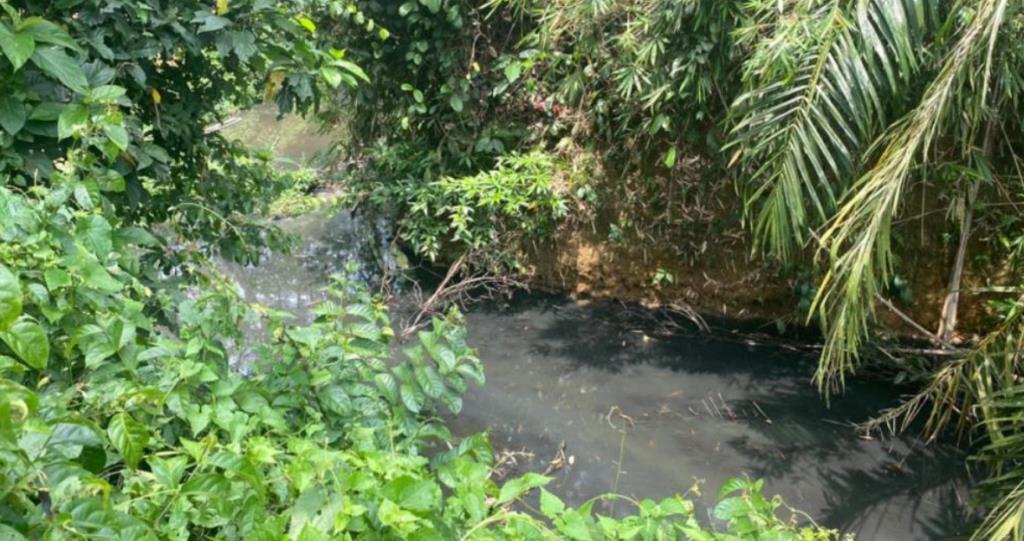 Polisi Bakal Panggil DLH Soal Limbah PT AIP Cemari Aliran Sungai Gasan Seluma