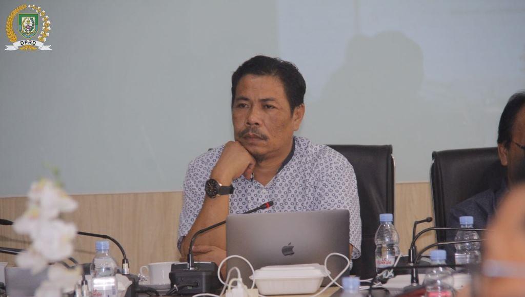 DPRD Provinsi Minta Pemprov Proaktif Dorong Investasi Berkelanjutan