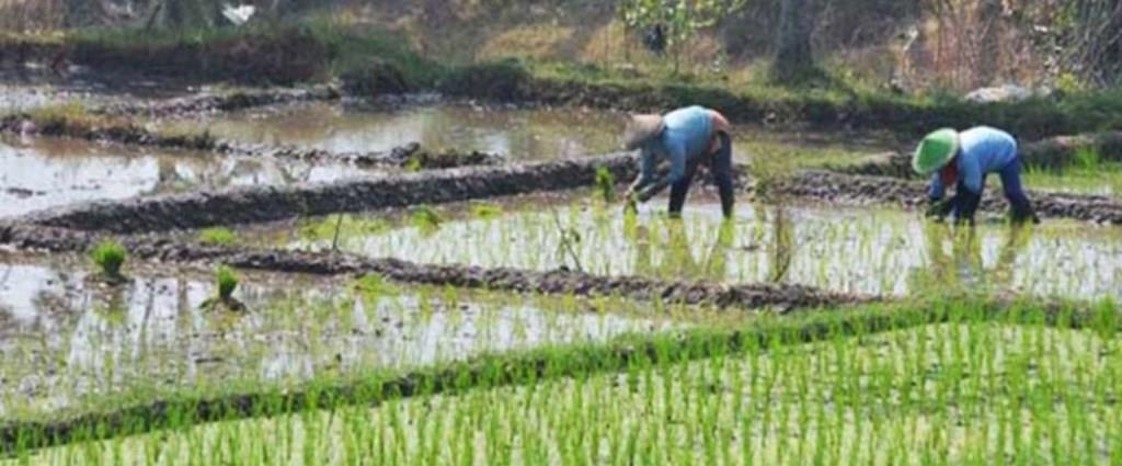 Wakil Ketua II Apresiasi Rencana Pemerintah Bakal Rekrut 500 CPNS