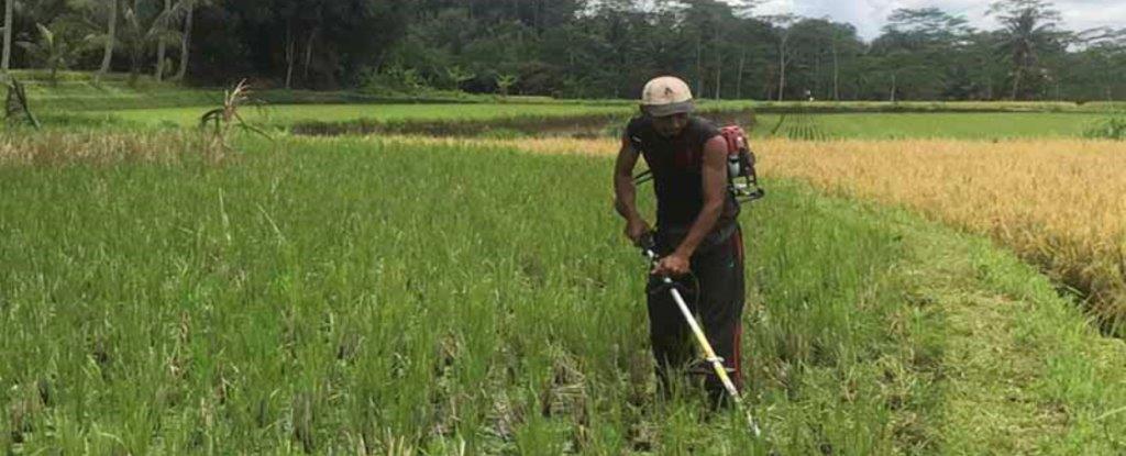 Ketua Barli Dukung Langkah DKP Tertibkan Distribusi BBM Subsidi Bagi Nelayan