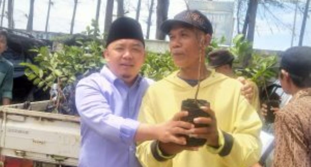 Dempo Xler Pimpin Program Pemberian Bibit Buah Jambu