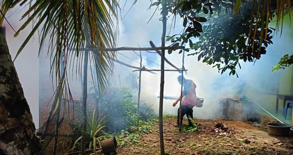 Fogingg Gencar Dilakukan, Kasus DBD di Seluma Malah Meningkat