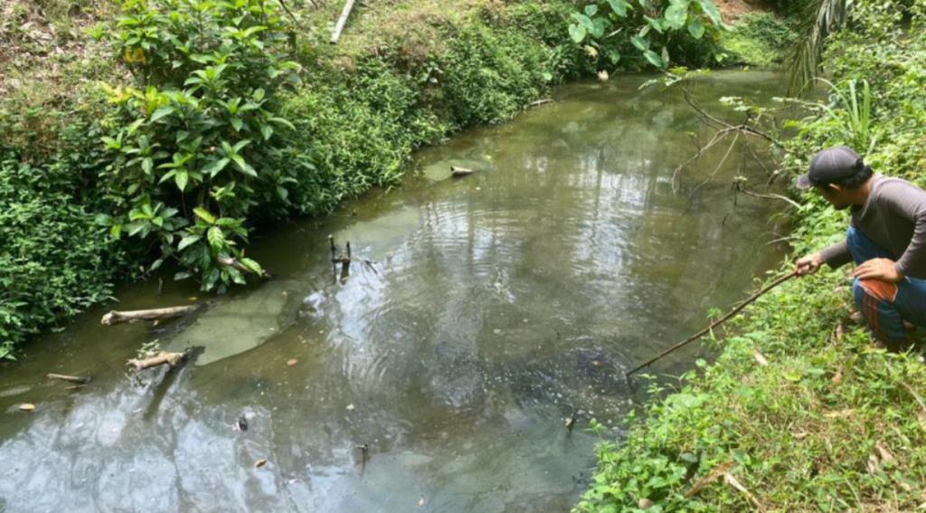 Polisi Kembali Uji Lab Sungai Gasan, Begini Tanggapan PT AIP