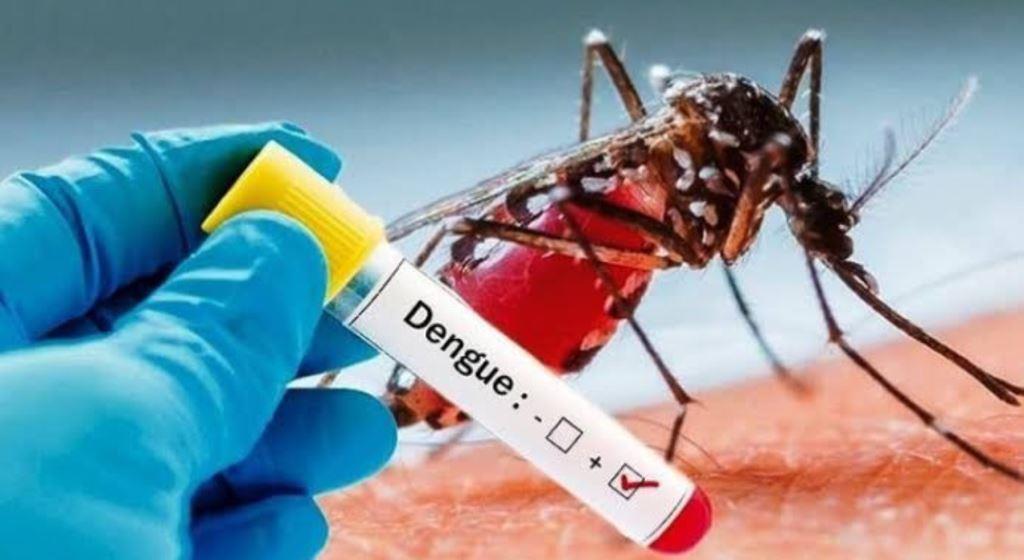 Tahun Ini Kasus DBD di Seluma Alami Peningkatan, Begini Imbauan Dinkes