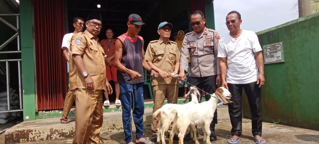 Pemdes Pasar Palik Bagikan Bantuan Sepasang Kambing untuk 32 KK