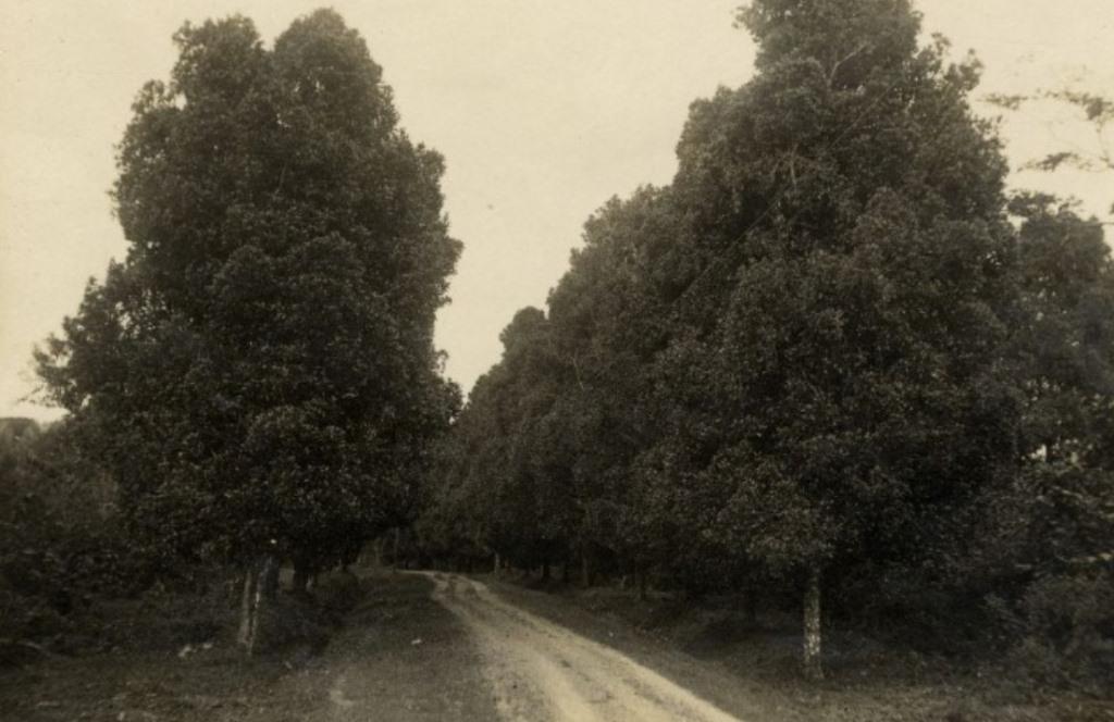 Girik Cik: Pilkada ‘Bukan’ Soal Siapa dan Apa