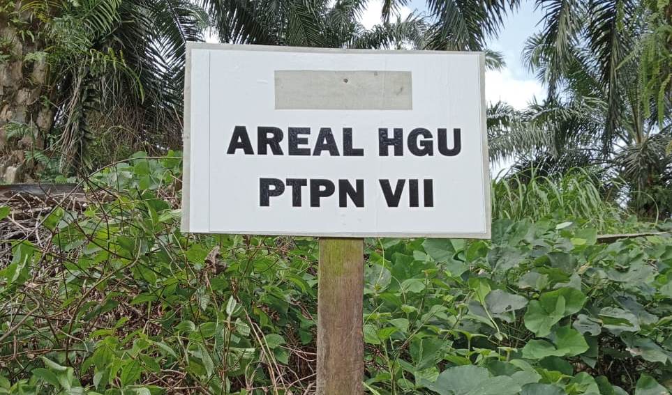 Diduga Patok Perkebunan Warga, PTPN VII Bisa Picu Konflik