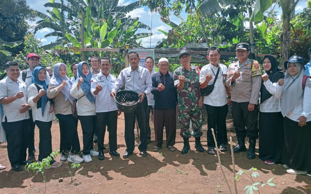 Desa Lubuk Saung Panen Ikan Lele Hasil Program Ketahanan Pangan