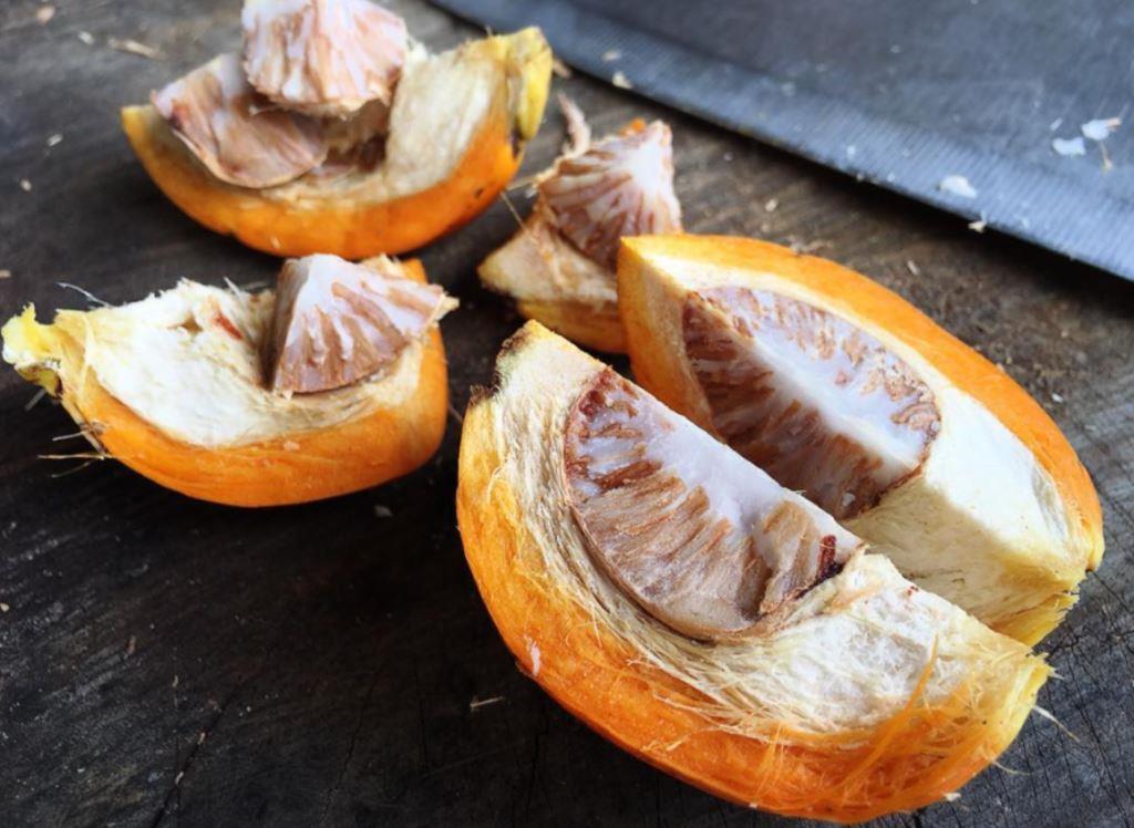 Buah Pinang, dari Tradisi Kunyah hingga Ekspor Bernilai Triliunan