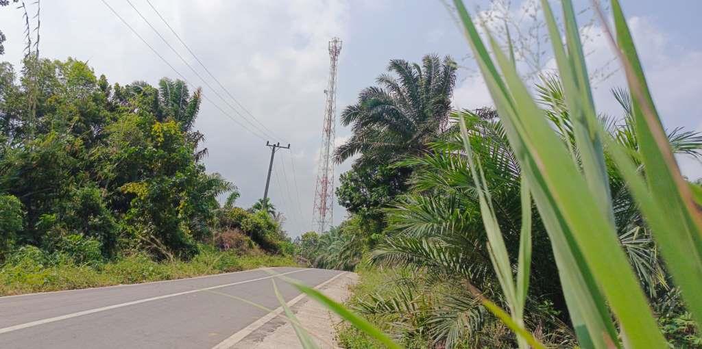 Puluhan Tahun Warga Desa Tenangan Hidup Tanpa Jaringan Internet