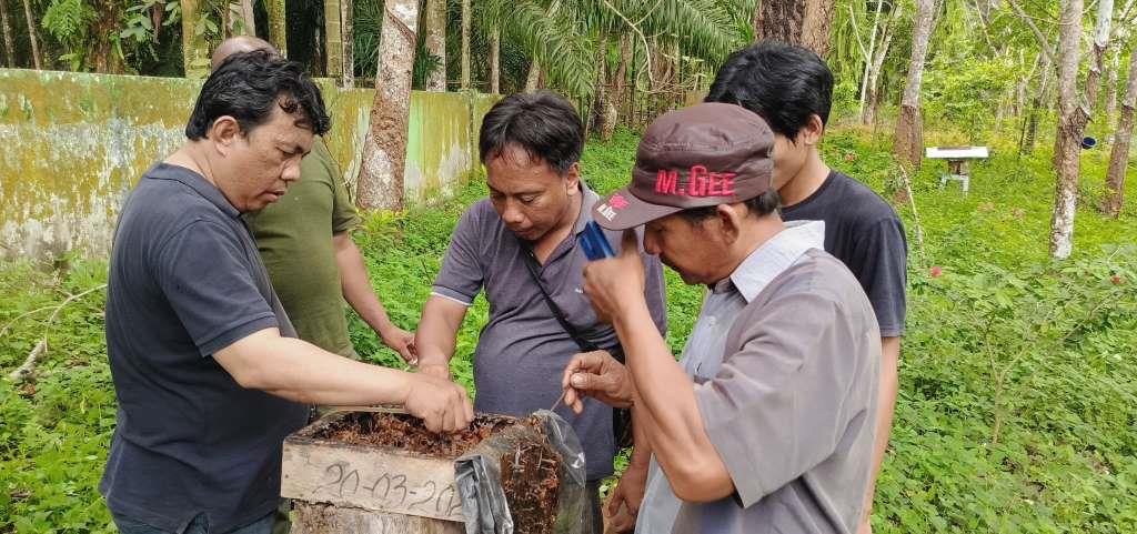 Inovasi BUMDes Lubuk Gilang, Taman Lebah Jadi Pendapatan