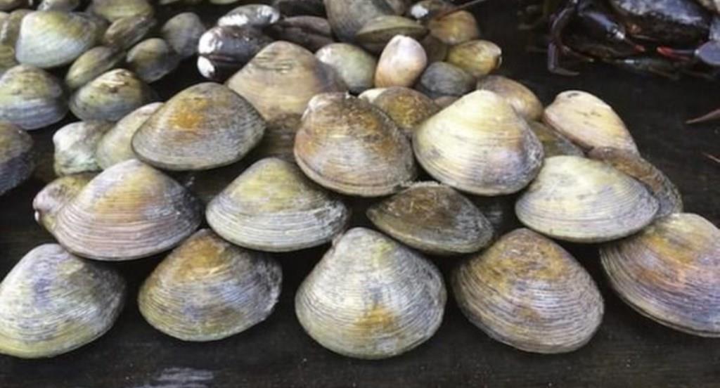 Disparpora Mukomuko Dukung Ekonomi Kreatif Kuliner Samba Lokan