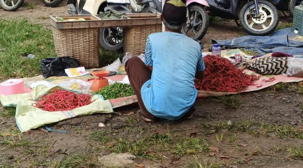 Harga Bahan Pokok di Seluma Melonjak Drastis, Cabai Keriting Tembus Rp45 Ribu