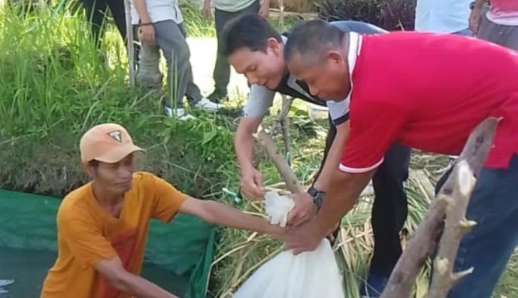 Dukung Ketahanan Pangan, Aliansi Media Bengkulu Online Serahkan 5.000 Bibit Ikan Nila