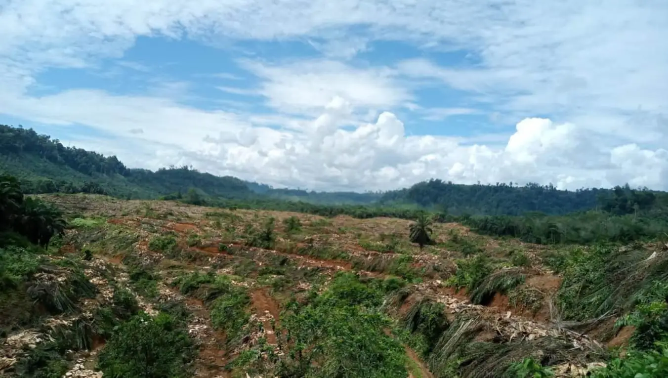 NCW Mukomuko Akan Surati BPKH Lampung Terkait Validasi Peta HPK di Sei Betung
