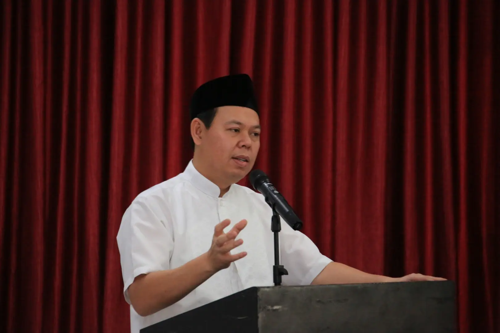 Sultan Minta Pemerintah Kembali Berikan Subsidi Pupuk Kepada Petani Kelapa Sawit Mandiri