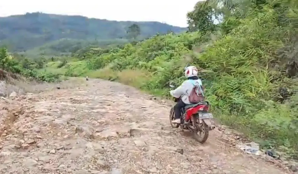 Hari Kartini, Kisah Dela Guru Tamatan SMA yang 8 Tahun Mengabdi di Pedalaman Tanpa Status
