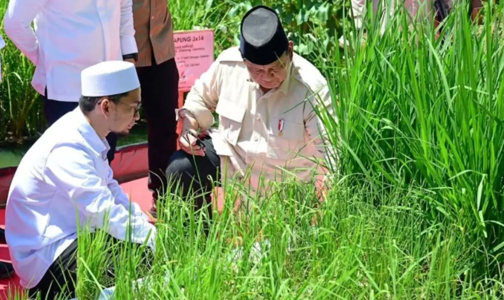 Presiden Luncurkan Gerakan Indonesia Menanam