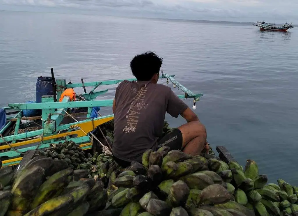 Perekonomian Enggano Lumpuh, Warga Lakukan Barter untuk Bertahan Hidup