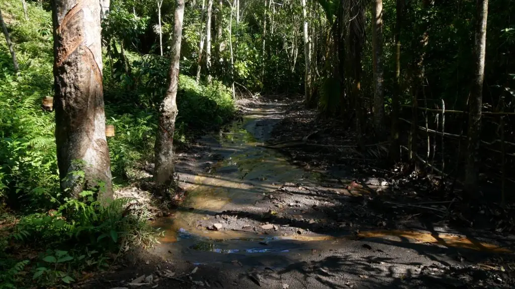 PLTU Bengkulu Buang Limbah di 13 Lokasi, Pemerintah Abai