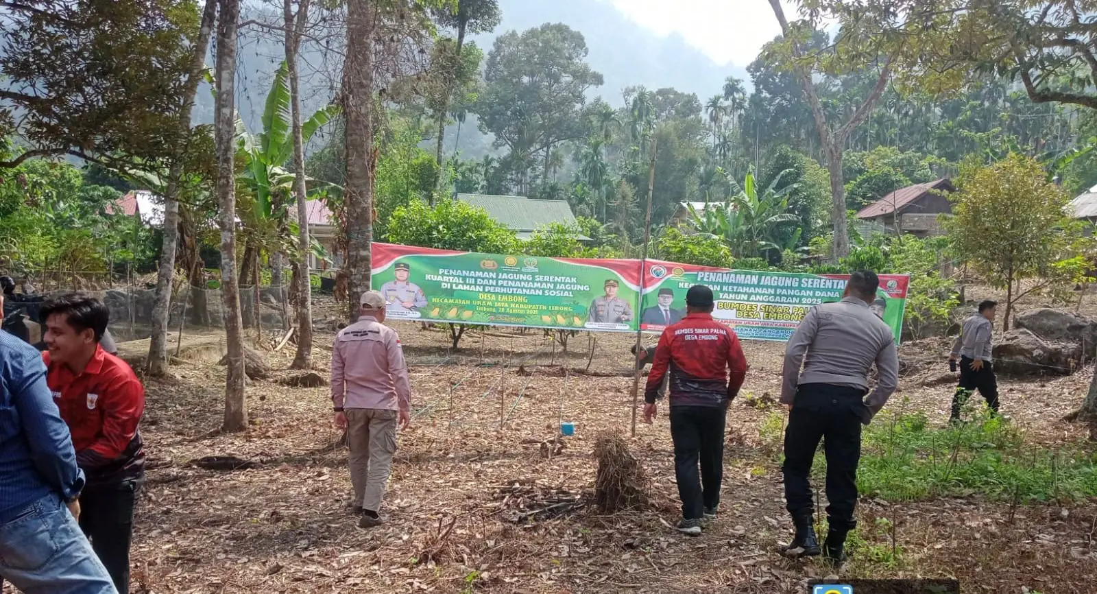Dukung Ketahanan Pangan, BUMDes Sinar Paliak Laksanakan Tanam Jagung