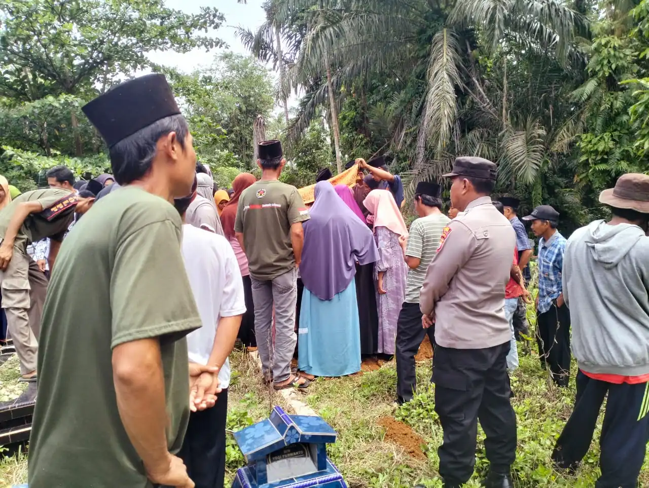 Balita di Seluma Tewas Tertimpa Tandan Sawit