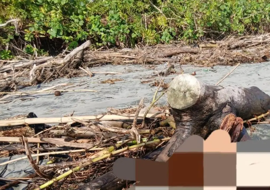 Warga Seluma Hanyut di Sungai Air Simpang Ditemukan Meninggal di Muara Pantai