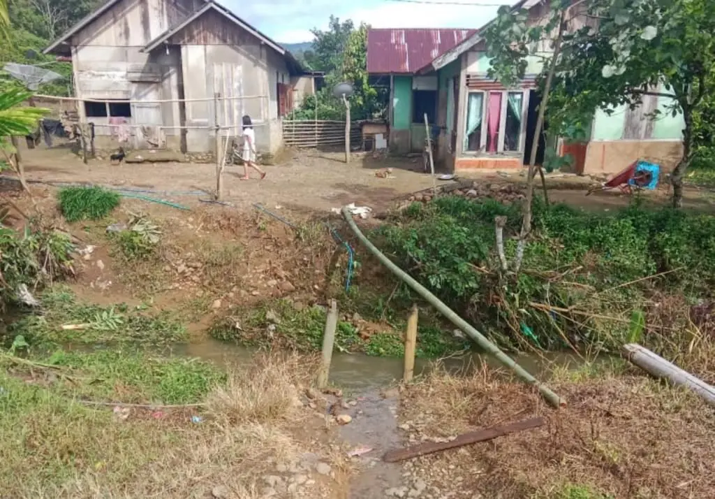 Ribuan Hektar Lahan Persawahan Desa Ketenong Jaya Terancam Kekeringan Pasca-Banji Bandang