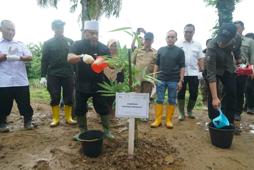Dukung Wilayah Konservasi Hutan, Helmi Hasan Tanam 49.280 Bibit Pohon