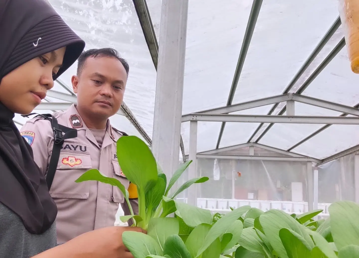 Kisah Aipda Bayu: Hobi Bagi Sayuran Gratis Hingga Akrab Disapa Polisi Sayur