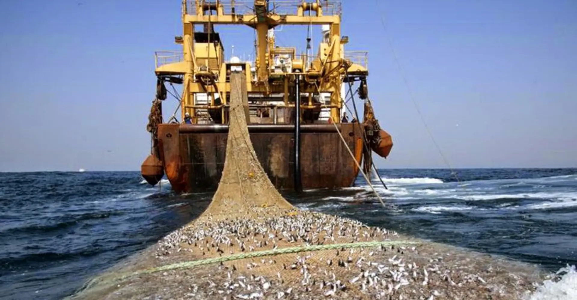 KNMP Beri Dampak Langsung Bagi Modernisasi Penangkapan Ikan di Bengkulu