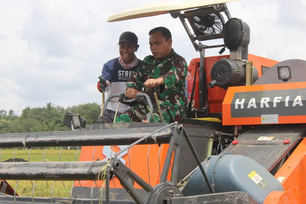 Dibina Kodim 0425 Seluma, Panen Padi di Sari Mulyo Capai 7 Ton per Hektare