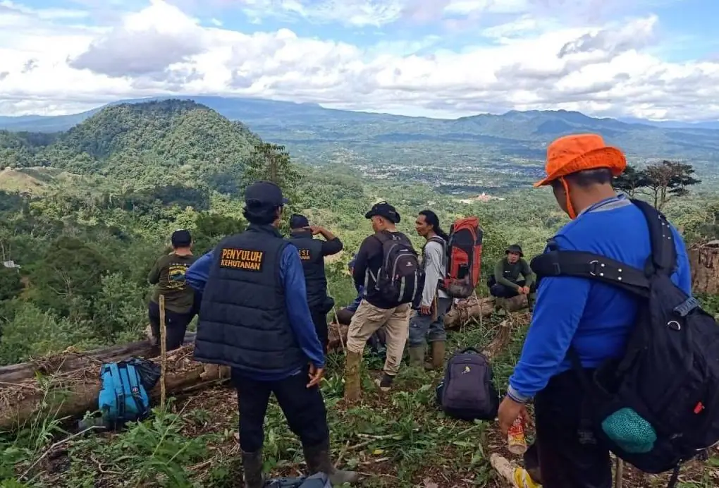 Penegakan Hukum Belum Maksimal, KPHL Bukit Daun Terkendala Anggaran dan Personel