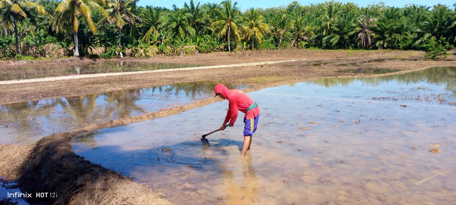 Dugaan Permainan Data RDKK Pupuk Subsidi Mencuat di Seluma