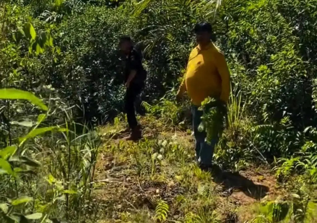 Perkuat Alat Bukti, Kejari Bengkulu Selatan Ambil Sampel Tanah Kasus Perambahan HPT Bukit Rabang