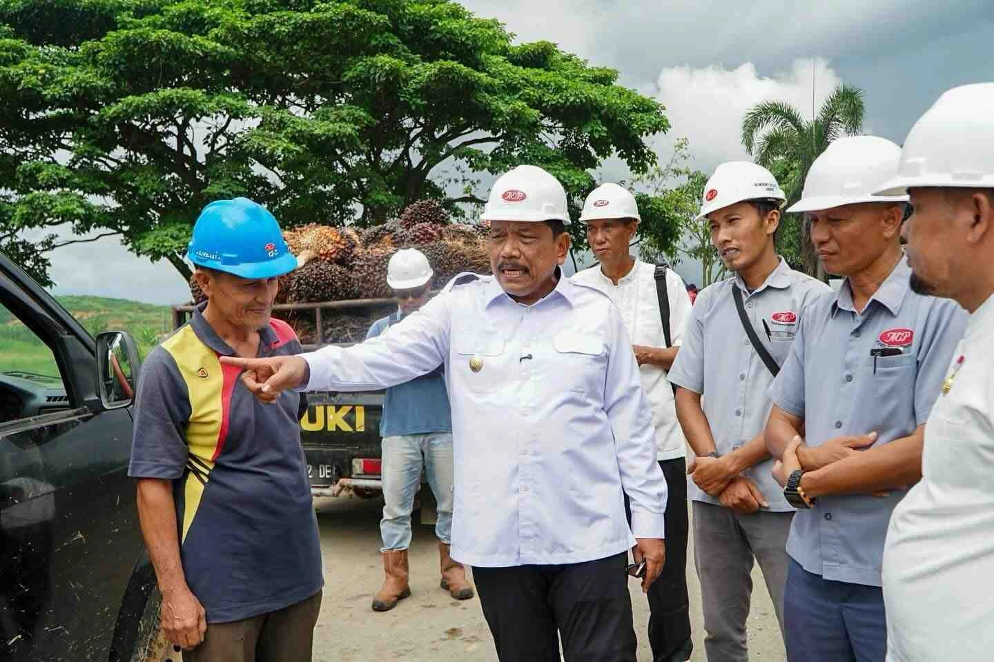 Wagub Mian Warning Pabrik, Wajib Beli TBS Kelapa Sawit Rp 3.465 per Kilogram