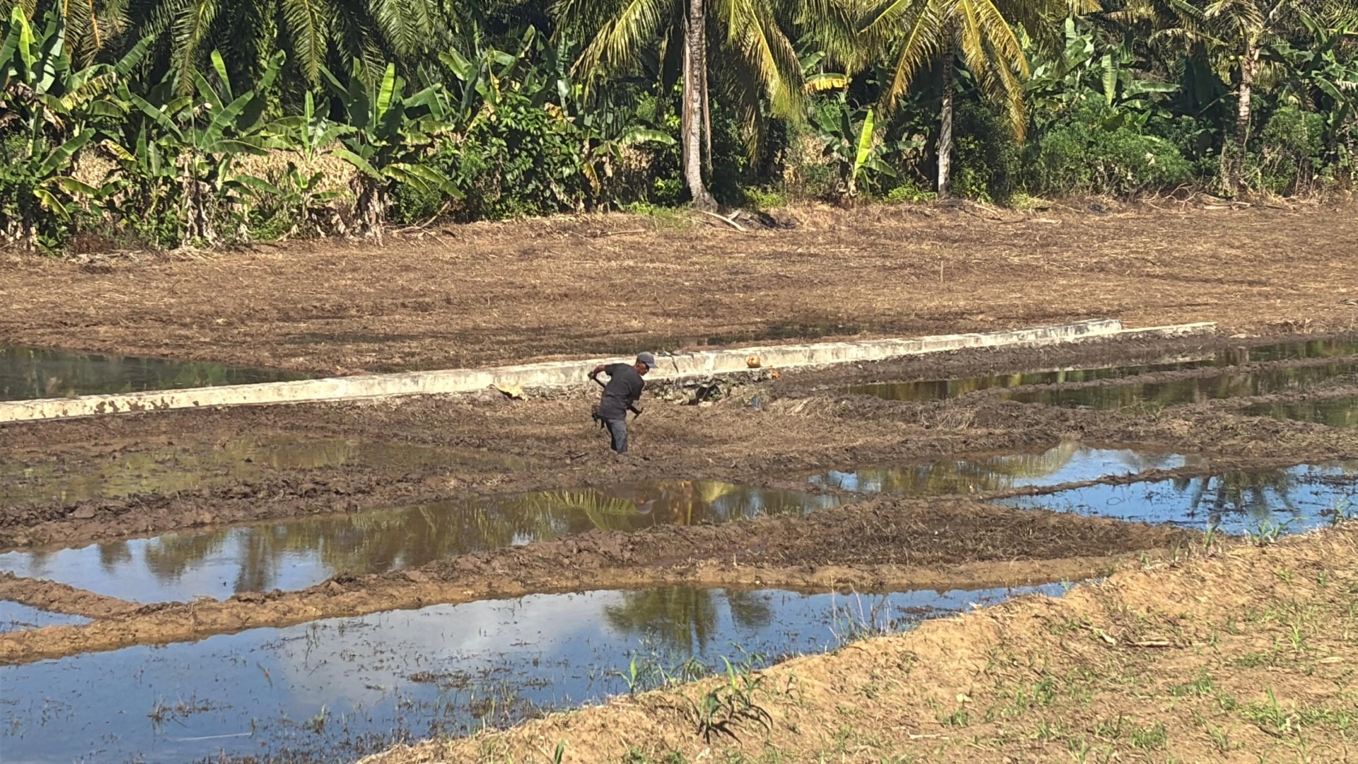 301 Ton Pupuk Subsidi Jatah Petani Seluma Selatan Hilang
